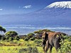 Přivítání s Afrikou - obrázek č. 3