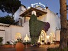 Hotel Park Imperial, Ischia, Itálie, CK GEOVITA