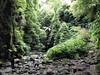 Sao Miguel - údolí Faial da Terra