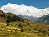 Nepál - Rýžové pole, Himaláje (Dreamstime)