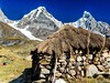 Cordillera Huayhuash - cestou na Siula Punta