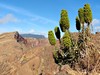 Madeira