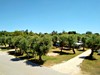 Vigna Sul Mar Camping Village, Lido di Pomposa, Severní Itálie, Dovolená s CK Geovita