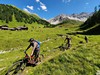 Davos MTB