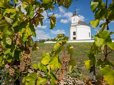 To nejlepší z Tokaje + Vinobraní + Lázně v Egeru