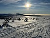 Krkonoše na sněžnicích