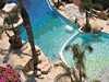 Kypr, Limassol, Hotel Four Seasons