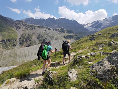 Ortler