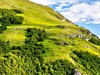Balkán - 4 živly - obrázek č. 7
