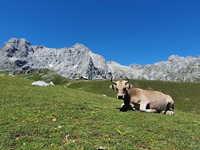 Picos de Europa - horská turistika
