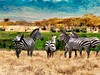 Keňa, Tanzánie a Zanzibar - safari s odpočinkem - obrázek č. 5