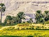 Egypt - síla jihu z Marsa Alam Light - obrázek č. 3