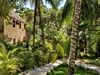 Nest Tulum - obrázek č. 3