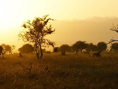 Keňa, Tanzánie a Zanzibar - safari s odpočinkem