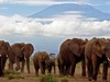 Keňa, Tanzánie a Zanzibar - safari s odpočinkem - obrázek č. 2