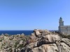 Sardinie