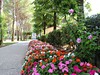 Camping Sant Angelo Village, Cavallino Treporti, Itálie, Dovolená s CK Geovita