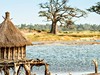 Afrika - pravá divočina - obrázek č. 4