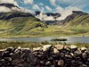 Krásná krajina národního parku Connemara Irsko