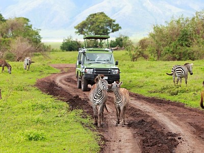 3 Dny na Safari Selous s Relaxem na Zanzibaru