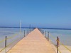 ALEXANDER THE GREAT RESORT #3