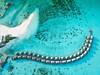 Cocoon Maldives  #5