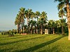 Royal Atlantis Beach #5