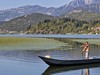 Skadarské jezero