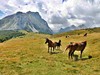 Planina Šťavno a Kom Vasojevički (2460 m)