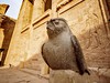 Edfu