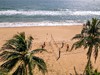 Melia Vinpearl Phu Quoc #5