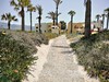 Grecotel Casa Paradiso #5