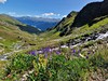 Verwallské Alpy