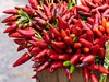 Chilli papričky