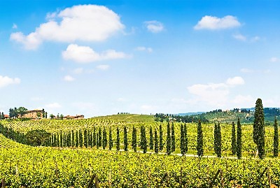 To nejlepší z Toskánska - Florencie, Pisa, Siena, Elba