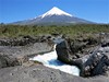 31286248 xxl osorno