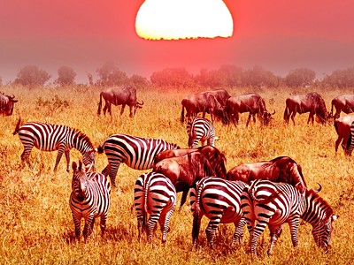3 Dny na Safari Ngorongoro s Relaxem na Zanzibaru