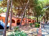 Camping Mare e Pineta, Lido di Spina, Itálie, Dovolená s CK Geovita