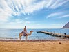 Happy Life Village Dahab #4