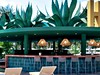 Bahia Principe Grand Tequila - obrázek č. 4