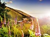 Hotel Srdiečko Slovensko Chopok - pohled na hotel