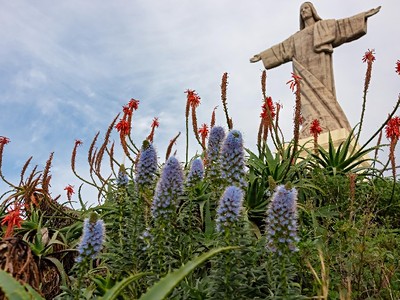 Velikonoční Madeira