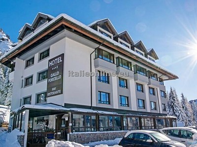 Hotel Al Gallo Forcello Ski