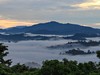 Prales Danum Valley