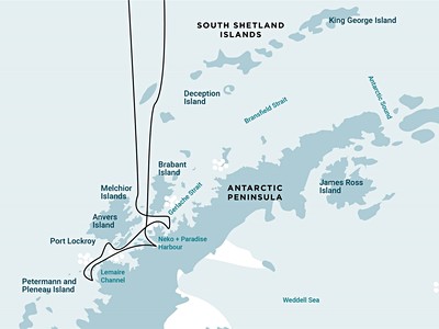Antarctica - Whale watching (m/v Plancius)