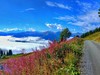 Zell am See MTB