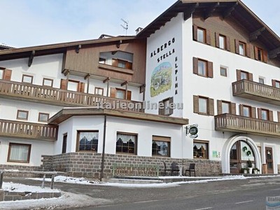 Hotel Stella Alpina Ski