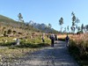 Vysoké Tatry