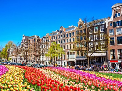 To nejlepší z Amsterdamu + Květinové Korzo