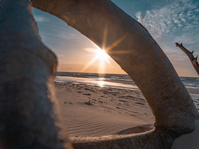 2025 | Hotel Wodnik: Pobyt s polopenzí